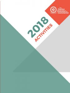 Annual Activity Review 2025/2026